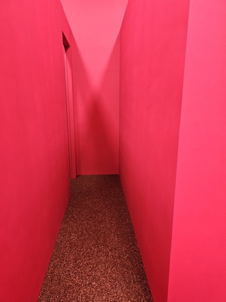 레드콩 이미지