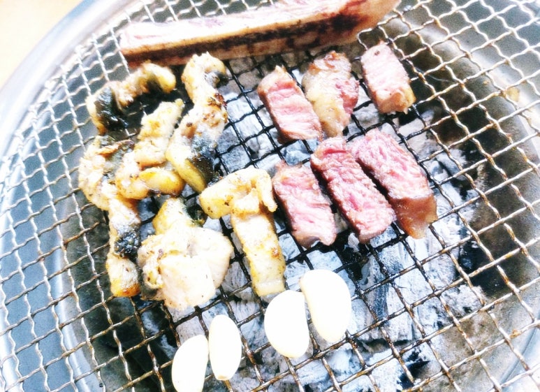 폭풍장어 이미지