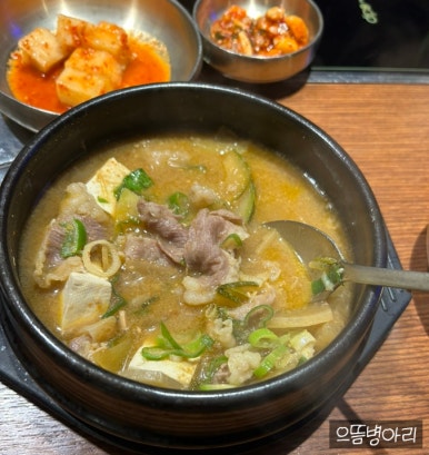 리미티드하누 이미지