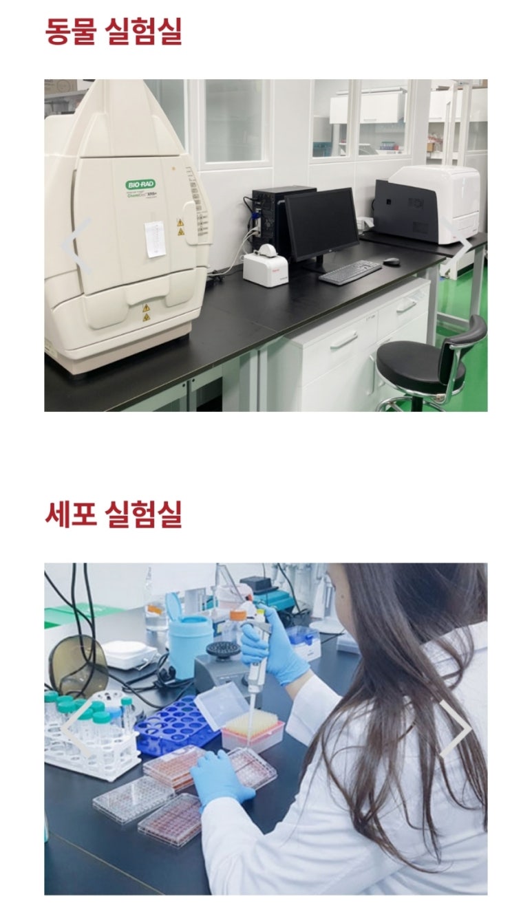 주식회사 제이비케이랩 이미지