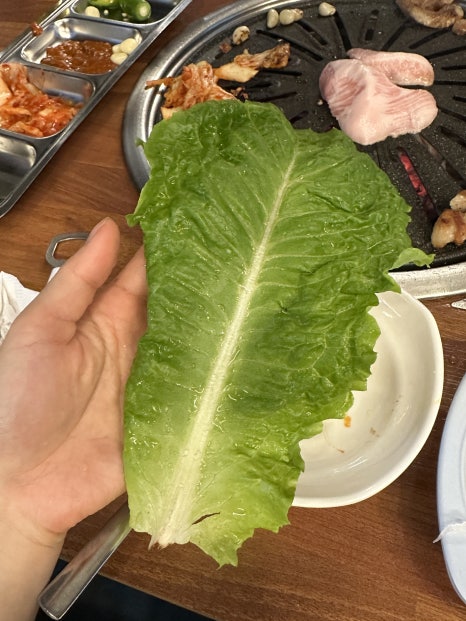 뿔난생돼지 이미지