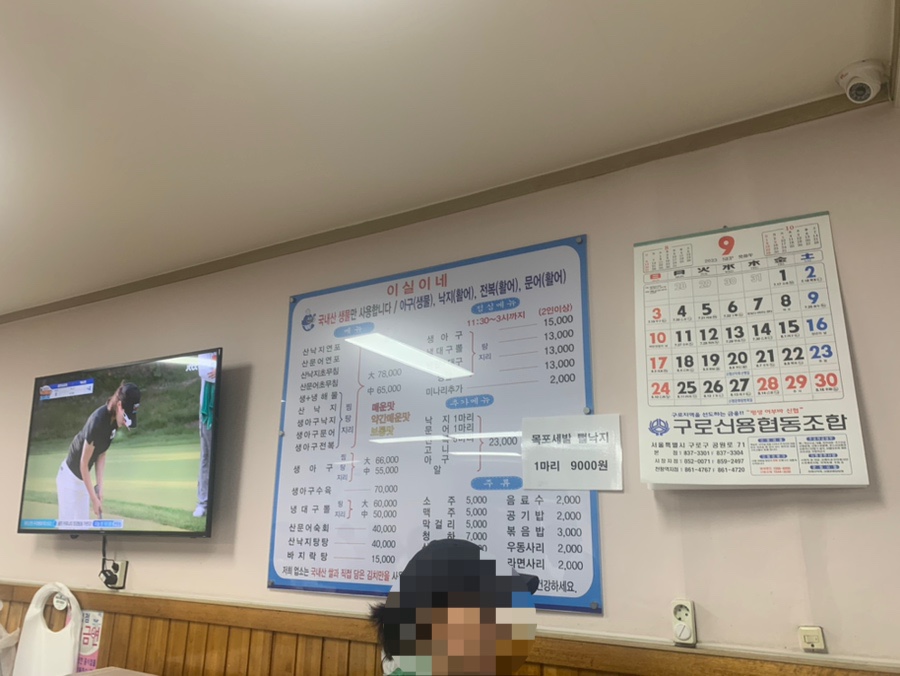 이실이네 이미지