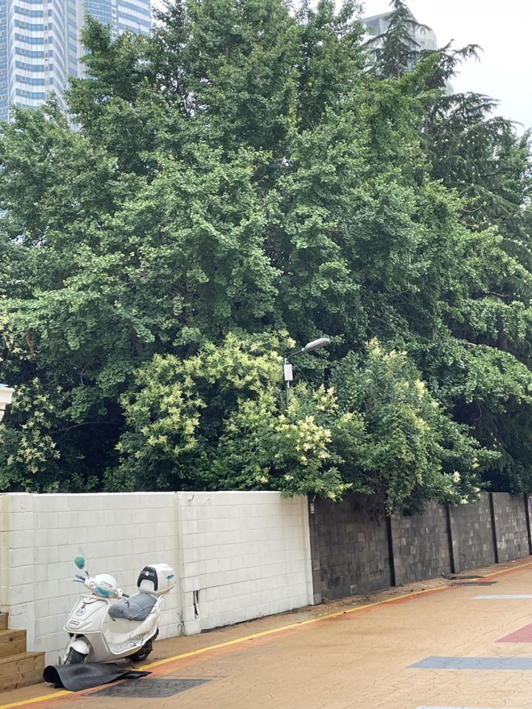 서영옷집 이미지