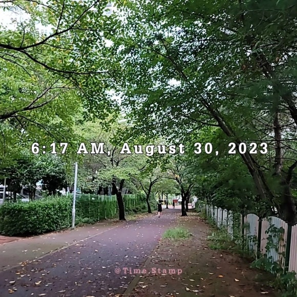 모모독서실 이미지