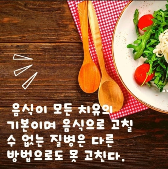 오혜숙생활단식채비지사 이미지