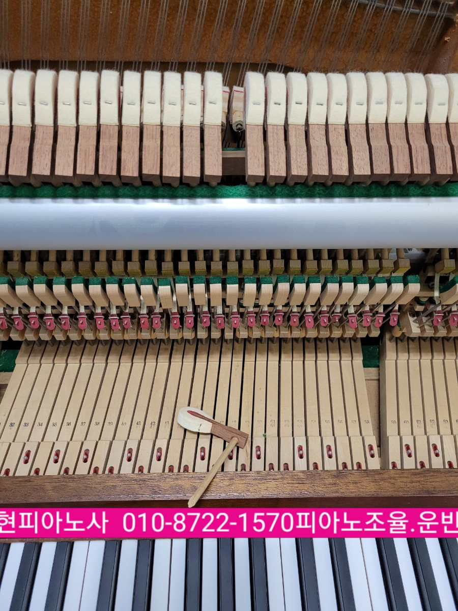 예진음악학원 이미지