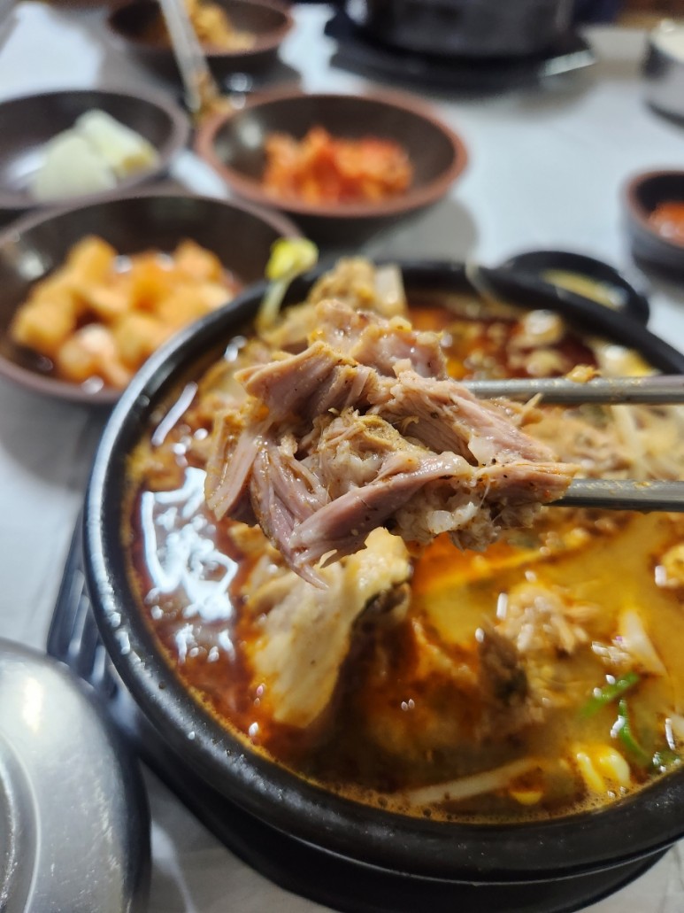제주다온 이미지