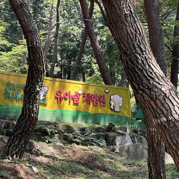 진해 유아숲체험원 이미지