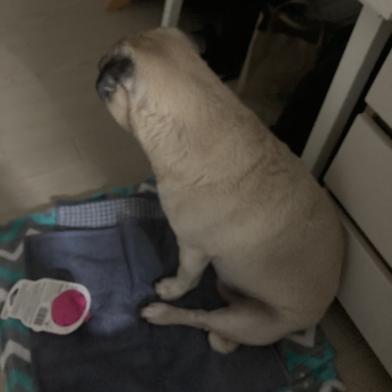 아가다헤어 이미지