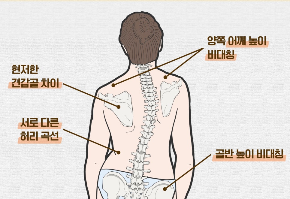 롱투짐 이미지