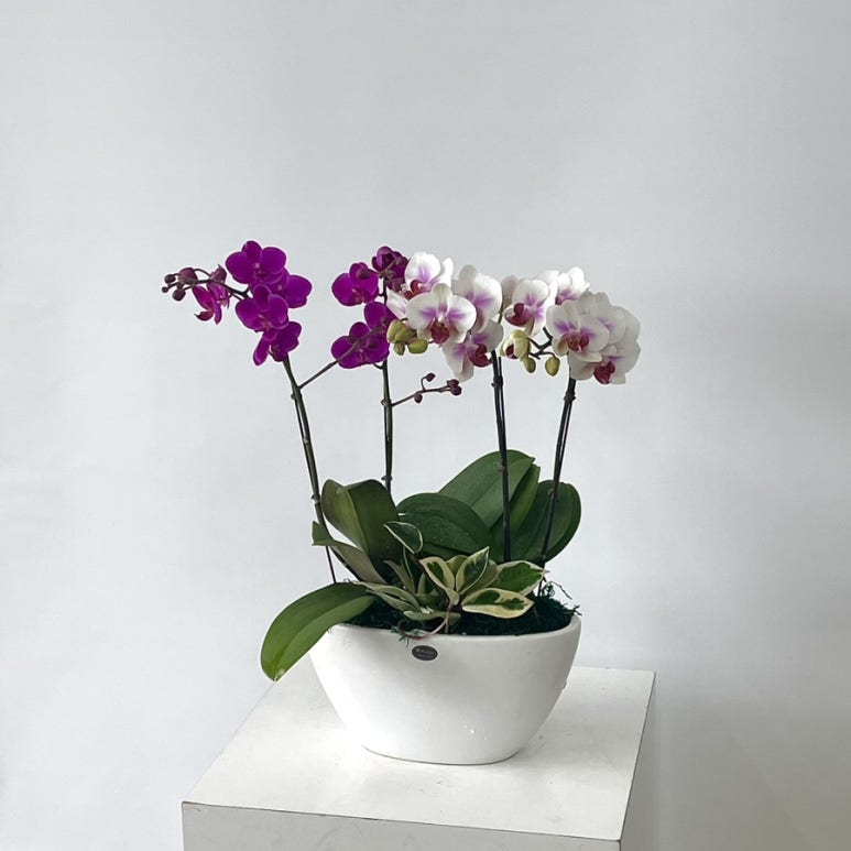 꽃바람화원 이미지