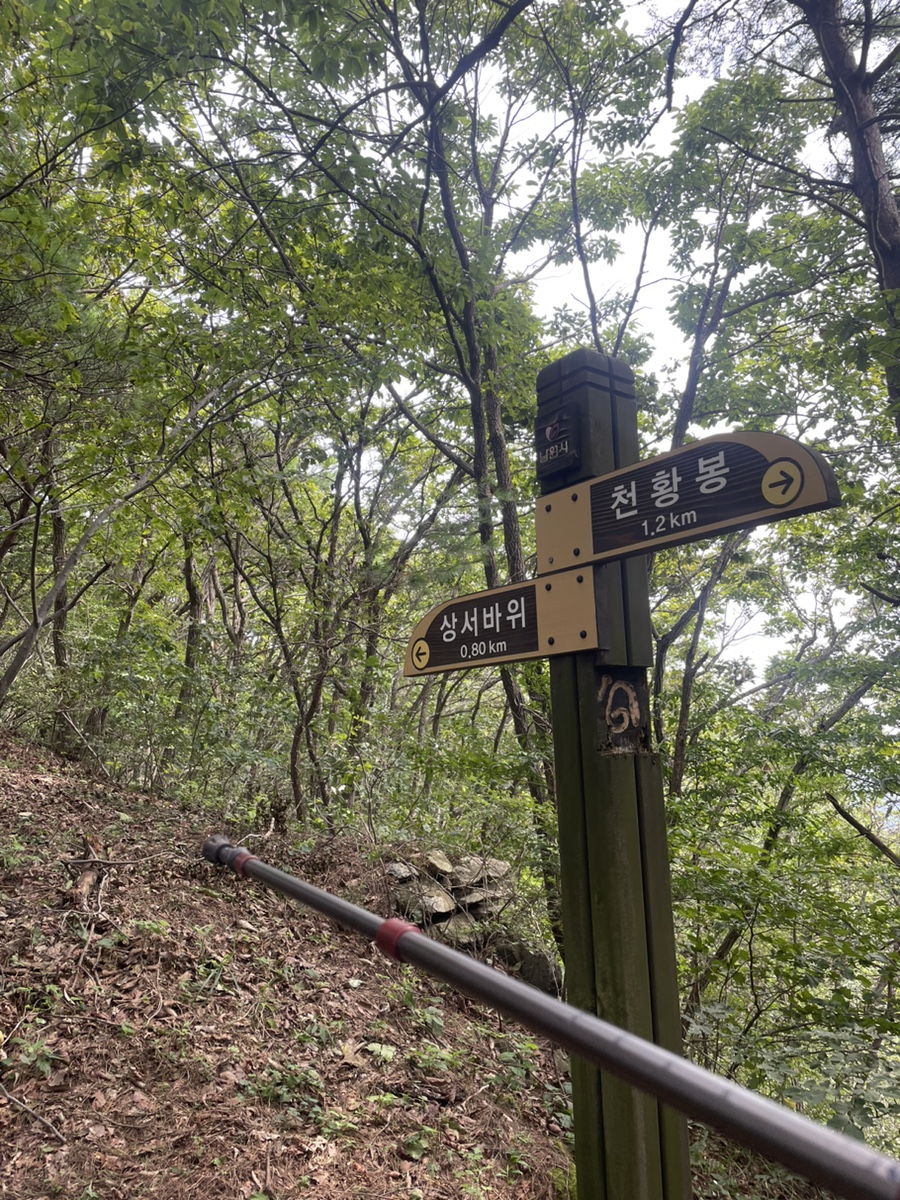 보현상사 이미지