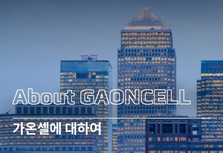 가온글로벌 주식회사 이미지