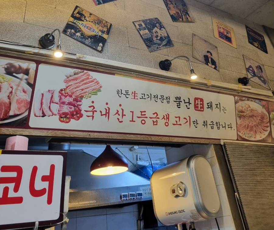 뿔난돼지 이미지