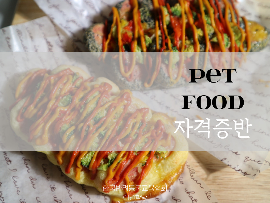애견학당펫푸드전문학원 이미지