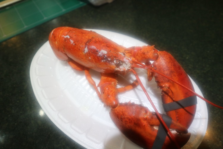 제주마지막회 이미지