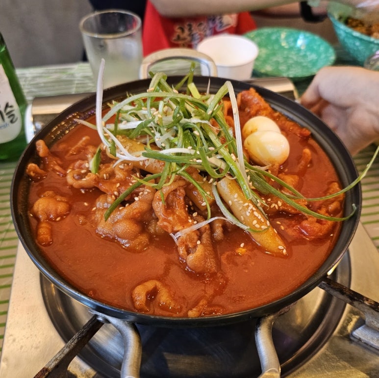 (주)공룡투어 이미지