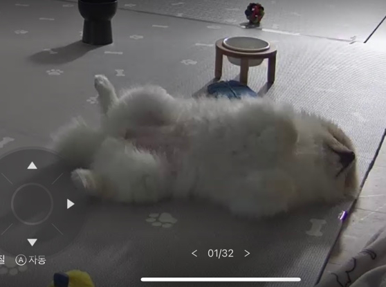 빵순이포차 이미지