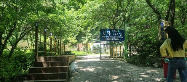 강당골대동계 이미지