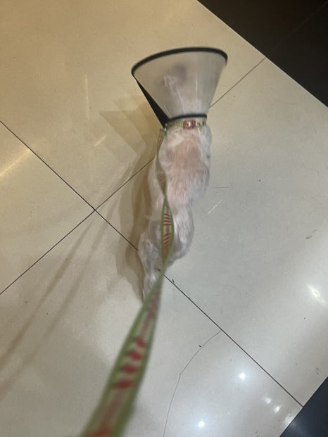전포여관 의정부점 이미지