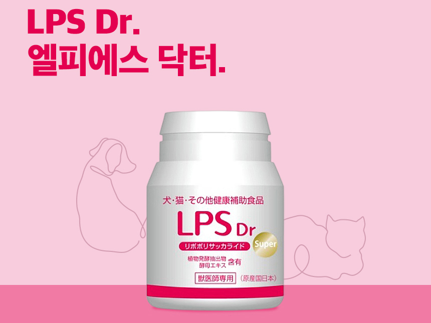 엘피에스 이미지