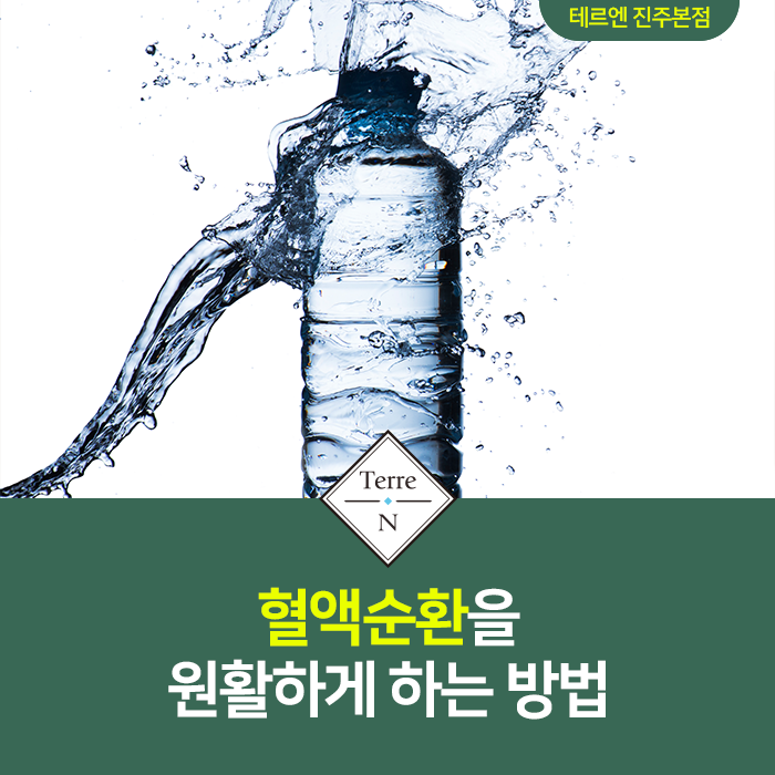 테르엔 이미지