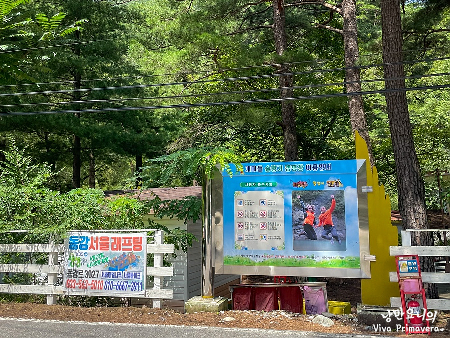 개미들솔향기야영장 이미지