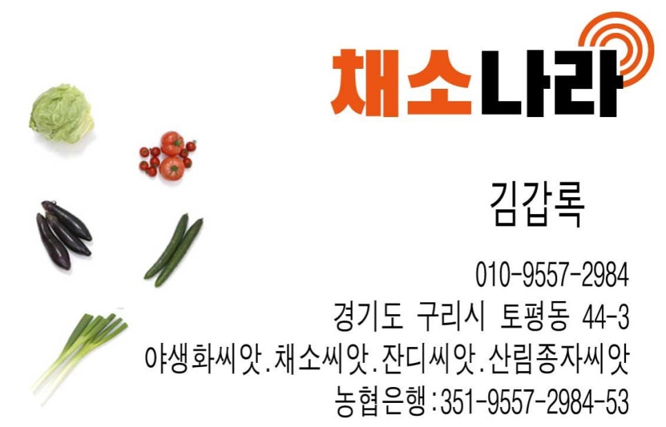 모종나라 이미지