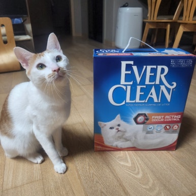 강한크린 이미지