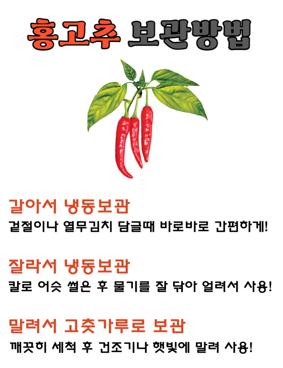 홍고추나라 이미지
