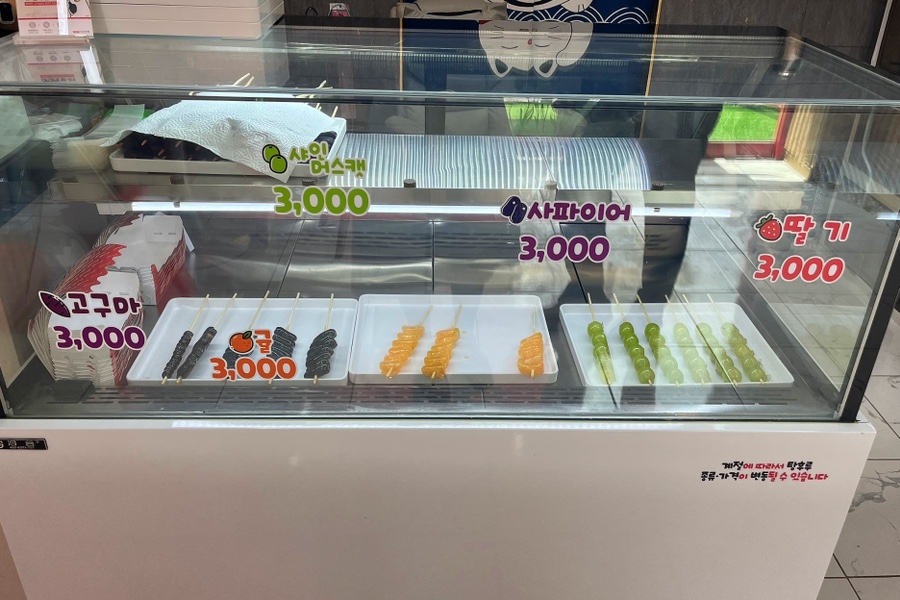 돌고래 탕후루 이미지