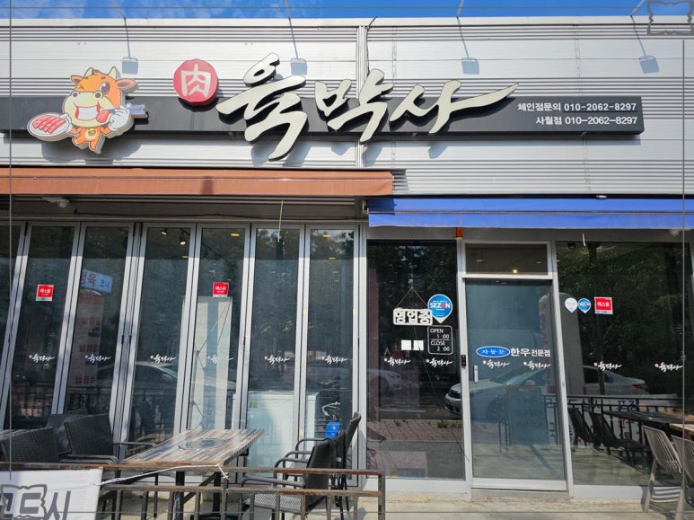 노규창의육박사 이미지