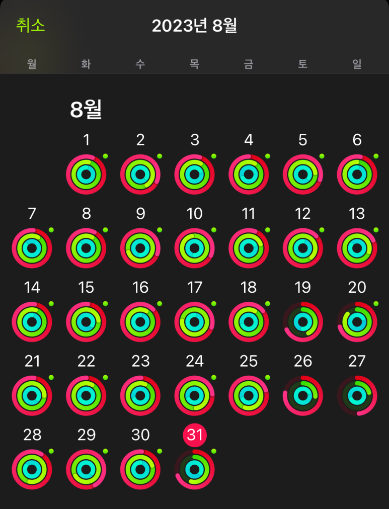 더나다움 이미지