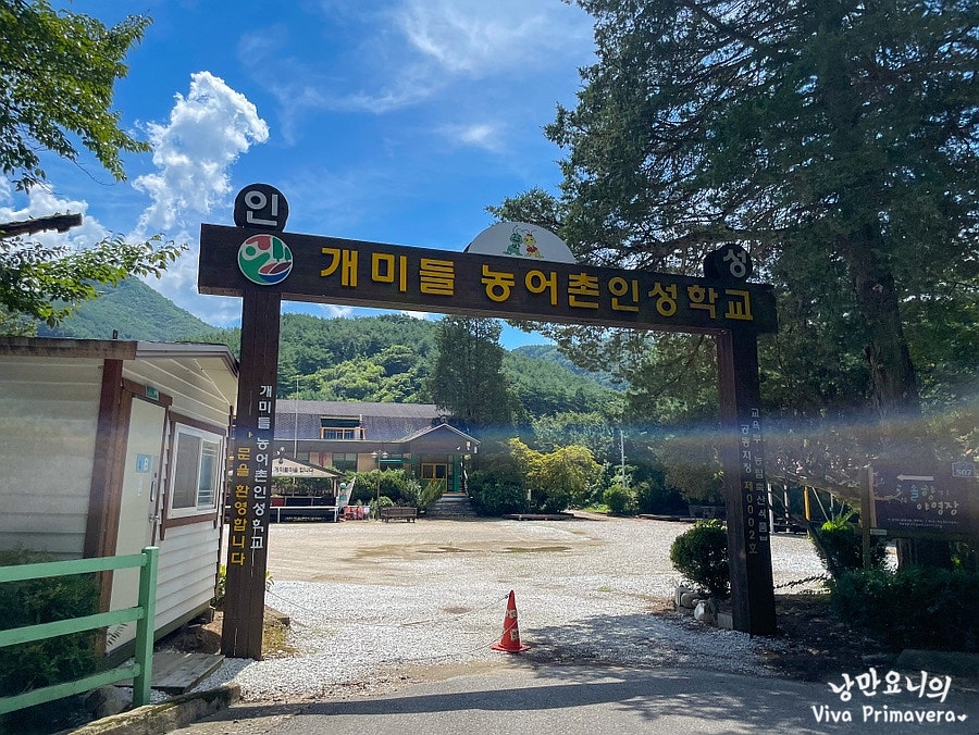 개미들솔향기야영장 이미지