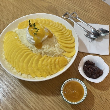 셀레브르 이미지