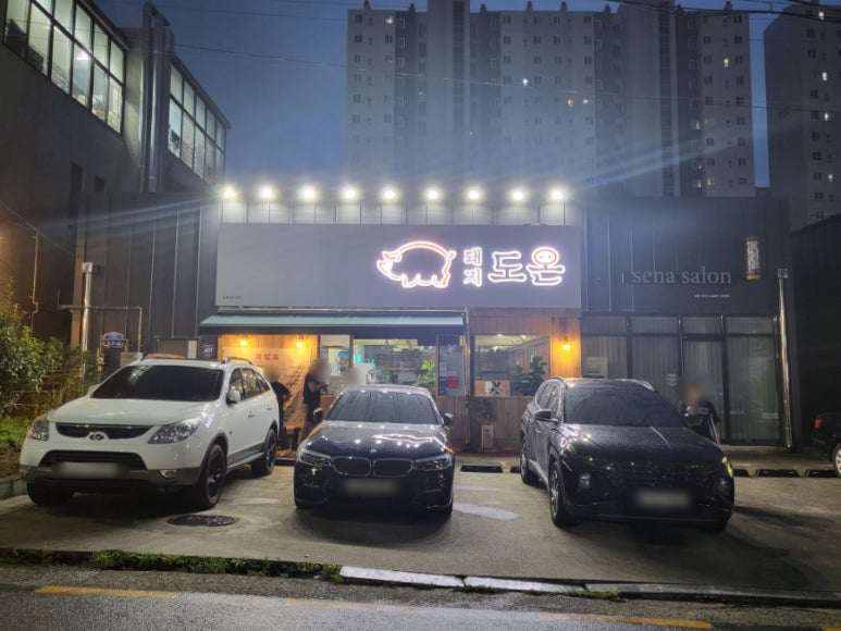 돼지도온 이미지