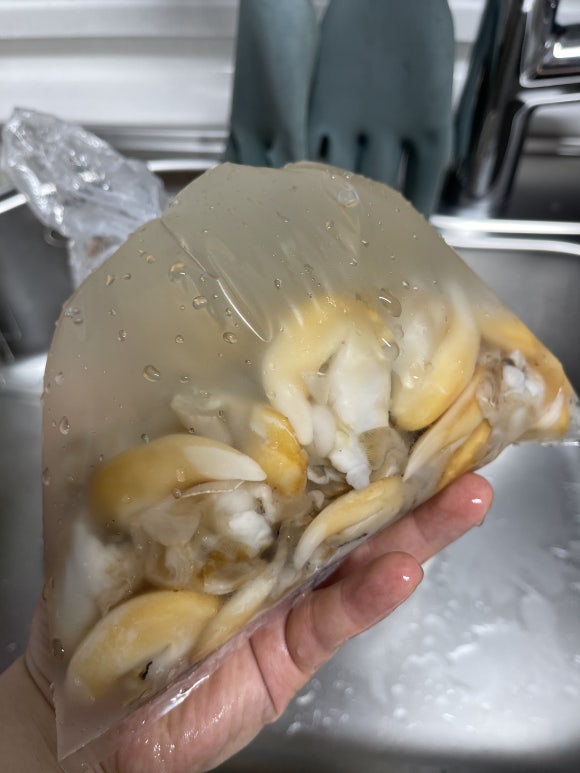 해우수산 이미지