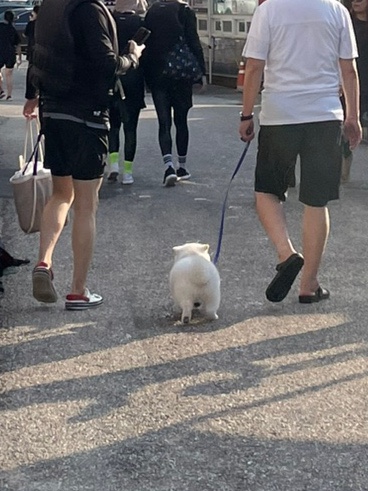 장호탑펜션 이미지