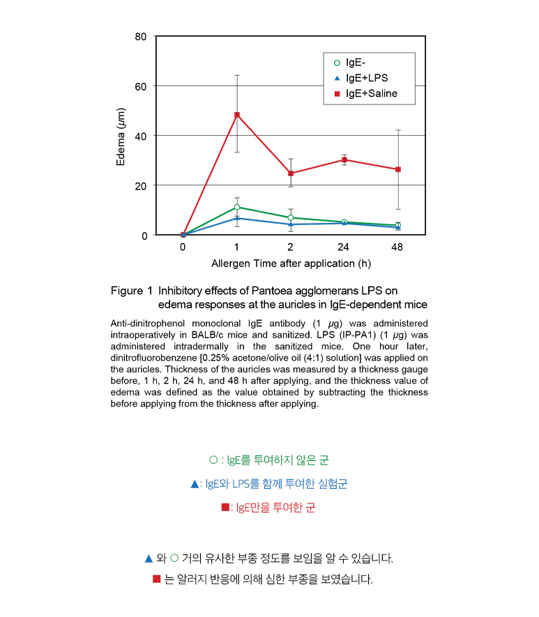 엘피에스 이미지