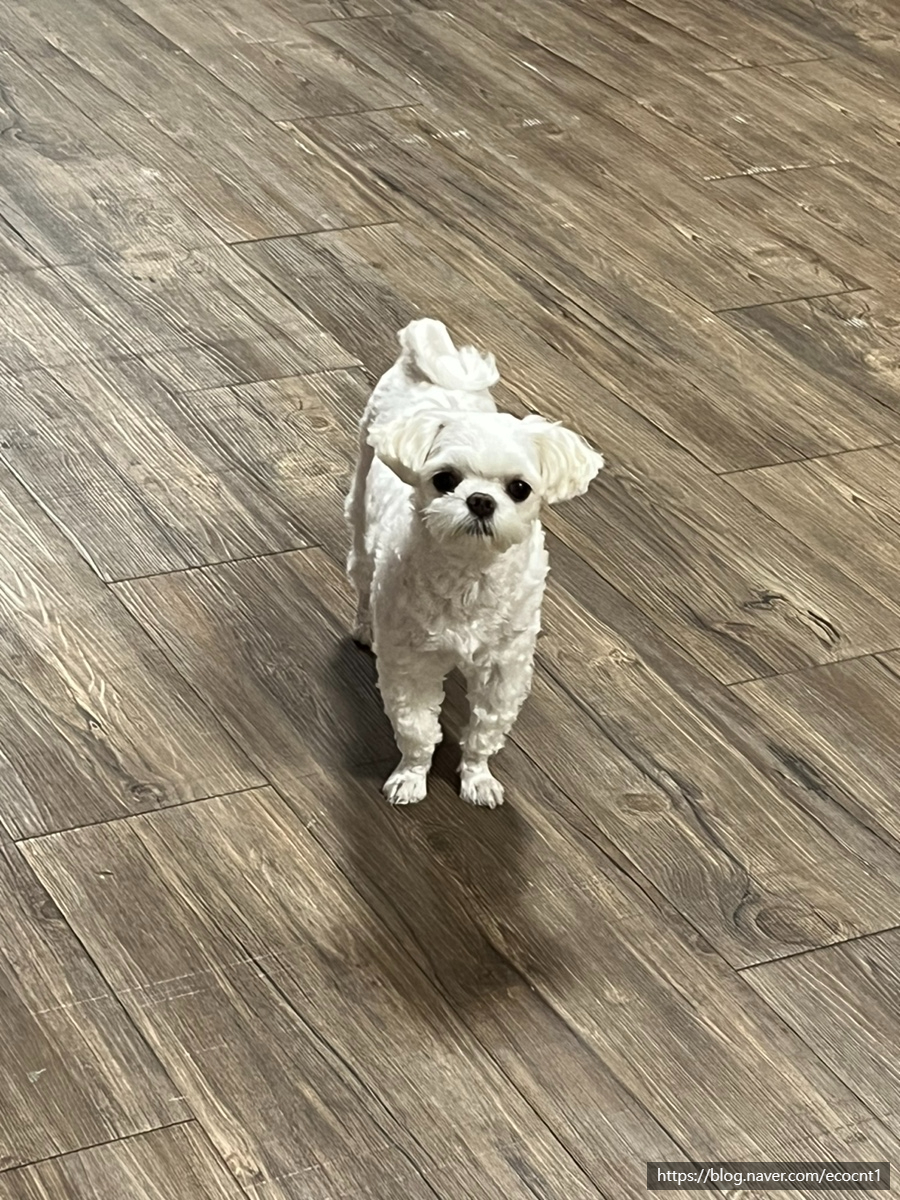 하나씨엔티 이미지