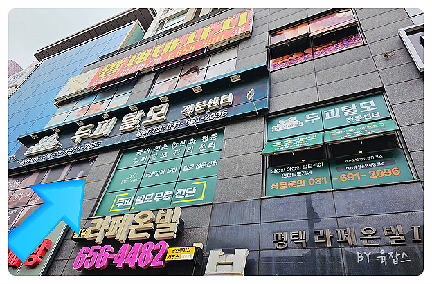 닥터모락 평택점 이미지