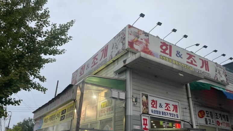 회앤조개 이미지
