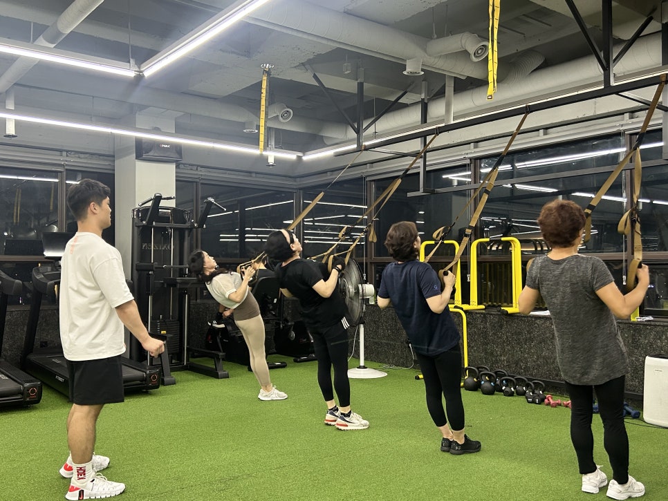 피티일프로 이미지