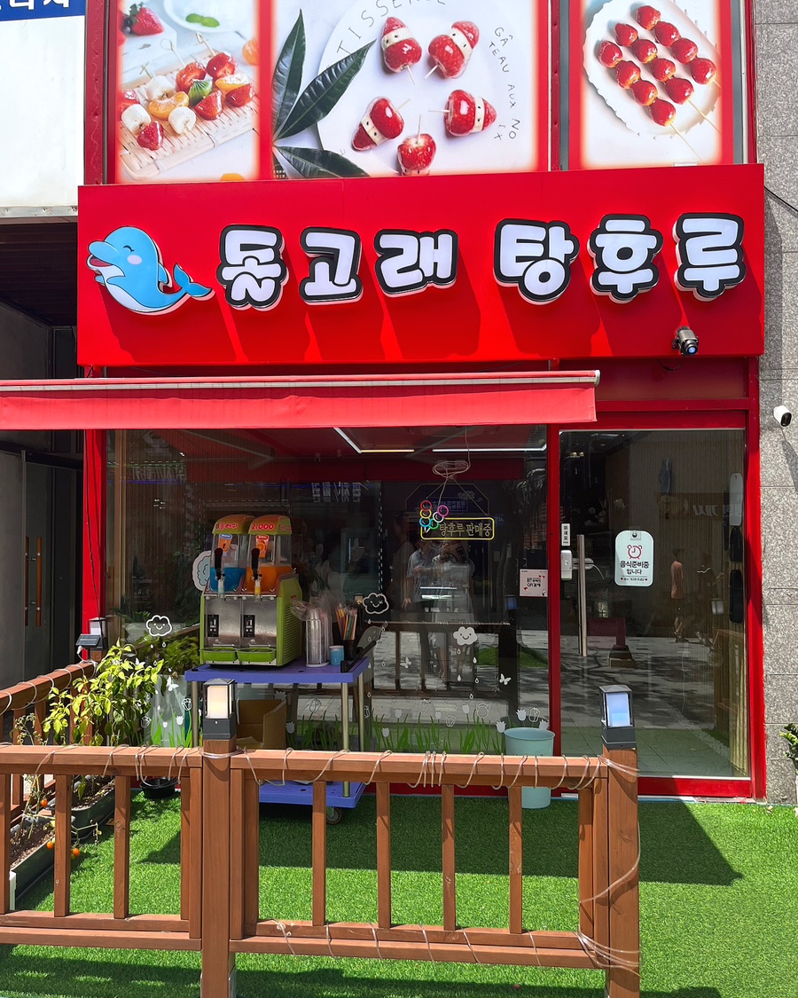 돌고래 탕후루 이미지