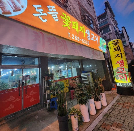 돈뜰꽃돼지 이미지