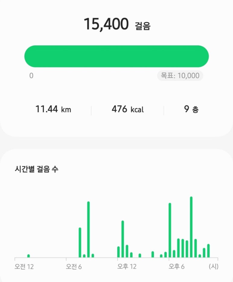 뚠뚜니네 이미지