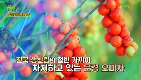 월악농원 이미지