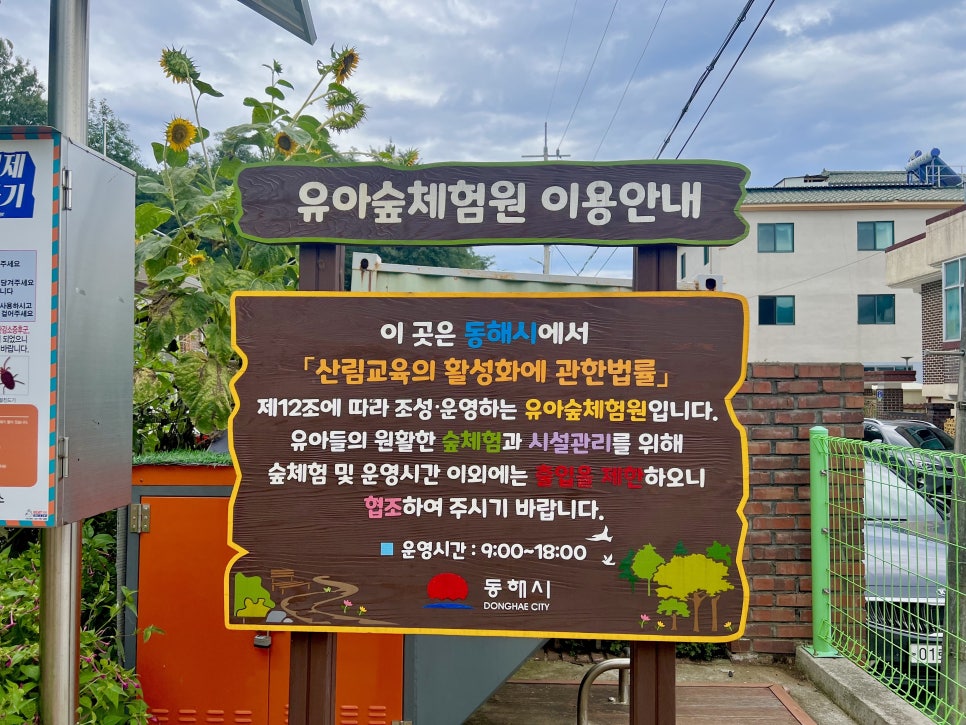 해오름 유아숲체험원 이미지