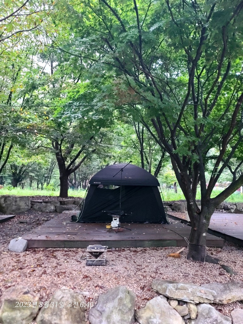 필라이브7080 이미지
