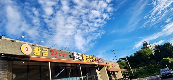 황금민물장어 이미지